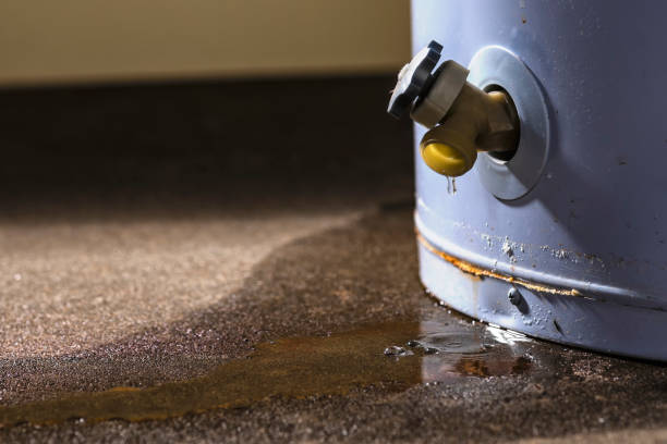 Best Professional water damage repair  in Everson, WA
