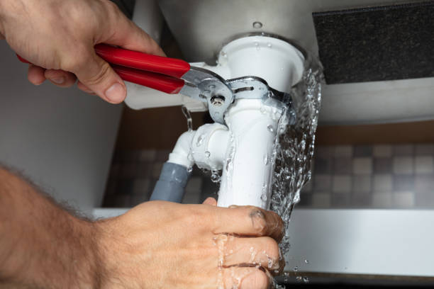 Best Local water damage restoration  in Everson, WA