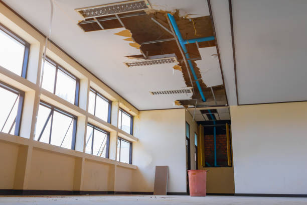 Best Commercial water damage restoration  in Everson, WA