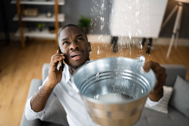 Best Flood restoration services  in Everson, WA