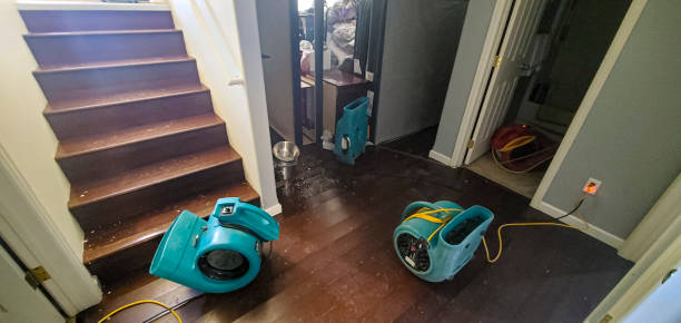 Best Water damage restoration near me  in Everson, WA