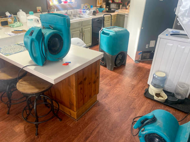 Best Water damage restoration near me  in Everson, WA