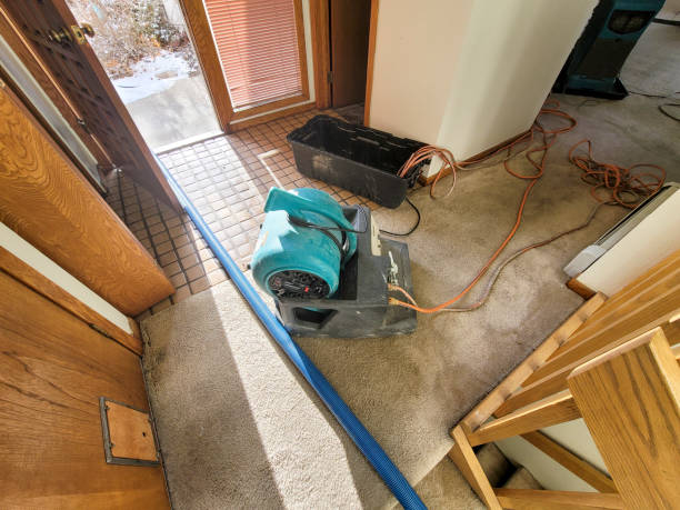 Professional Water damage restoration in Everson, WA
