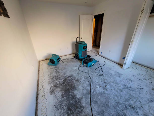 Best Commercial water damage restoration  in Everson, WA