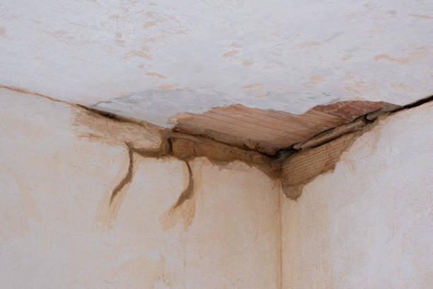 Best 24-hour water damage restoration  in Everson, WA