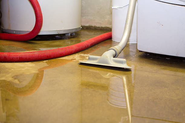Best Residential water damage restoration  in Everson, WA