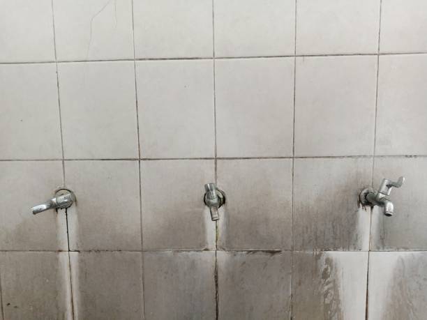 Best Flood damage cleanup  in Everson, WA