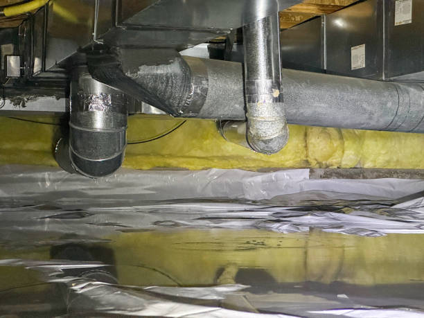 Best Fire Damage Restoration  in Everson, WA