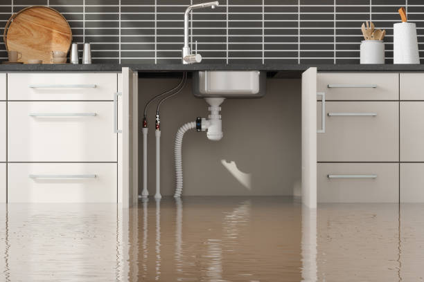 Best Local water damage restoration  in Everson, WA