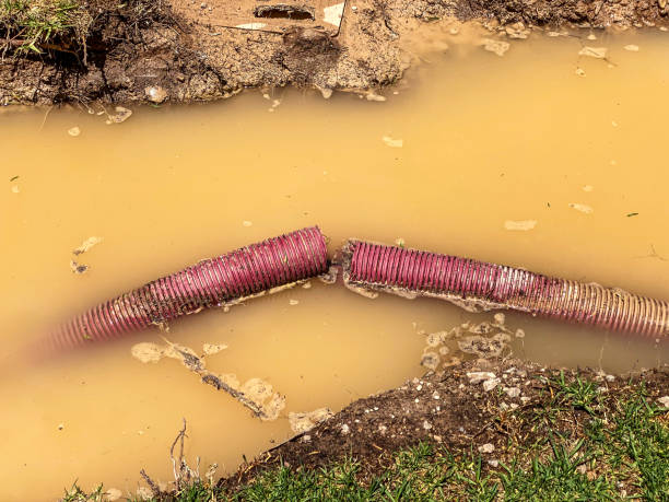 Best Water damage repair service  in Everson, WA