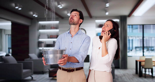 Best Water damage restoration company  in Everson, WA