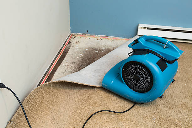 Water damage restoration mold remediation in Everson, WA